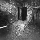 영구농장 이미지