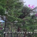 천상운집