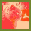 범주카서비스 이미지