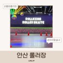 롤킹롤러스케이트장