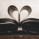 재수있는날 - 경주시 감포로 141-1 | 재수있는날