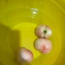 우리경봉환경 이미지