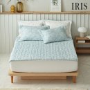 아이리스 이미지