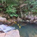 솔향기 가득한 펜션 이미지