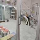 츄냥이 하우스 이미지