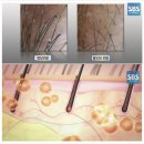 최근 백수오가 인기몰이중이다. 이미지