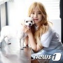 스타펫 이미지