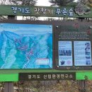 잣향기푸른숲 유아숲체험원 이미지