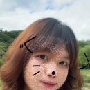 오브현헤어