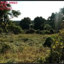 토산보건진료소 이미지