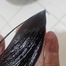 케이엘헤어 네이버블로그