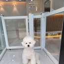 미소짓개 이미지