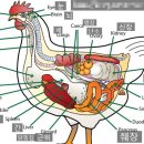 금강초등학교 이미지