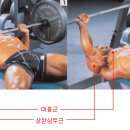 프레스밀 이미지