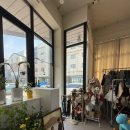 사진촬영 | [더렐스튜디오] 가족사진, 아기 사진, 반려견 사진 촬영 후기