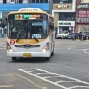 대성운수 이미지