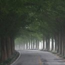 꿈을 심는 회사 이미지