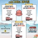 제주도 스쿠버다이빙 오픈워터 자격증 취득 후기_전 객실 오션뷰 OK다이브