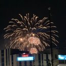 솔향 행정사 사무소 이미지