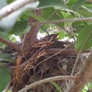 참이슬 농원 이미지