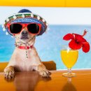 지니영어학원 이미지