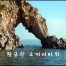 제533차 2012년 12월7일 서산 황금산 해변 길 이미지