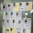 수원시 종합자원 봉사센터 | 유기묘 입양 보호소 <반려마루 화성> 평일 오후 봉사 후기