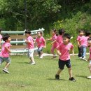 숲속유치원 이미지