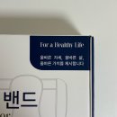매일컴퓨터세탁 | 거북목부터 라운드숄더 자세 교정까지! 올바름 자세교정밴드 사용 후기