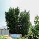 덕소2리 마을회관 이미지