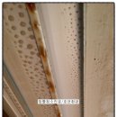 호연약품 이미지