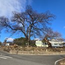 만경읍사무소 이미지