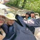 서지농원 | 6월 28일 일요일 대기 없는 에버랜드 후기