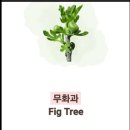 겸(兼) 이미지