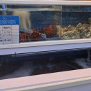 어장 | 현지인이 사랑하는 강릉 교동 찐맛집 - 횟집 어장 후기