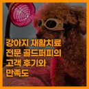 골드퍼피 | [공지] 강아지 재활치료 전문 노원구 골드퍼피동물재활센터의 고객 후기와 만족도
