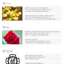 교동초등학교 이미지