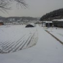 오계농장 이미지