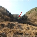 김삿갓면-2 이미지