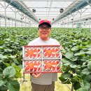 농업회사법인(주) 국민팜 이미지