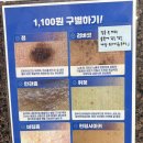 오케이비뇨기과의원 | 아가파의원 서창점 편평사마귀 내돈내산 저렴한 병원 개당 1100원이면 다른병원과 0하나가 없는데...