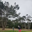 페블비치 파3 GOLF CLUB | 페블비치 코스중 하나 Spygalss 후기