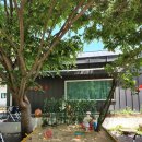 후사랑밀크(환희목장) 이미지