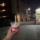 ［도쿄 생활 150일차］안녕 세미오, 좋은 아침이야🍀