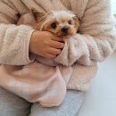 안양비산동물병원 이미지