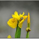 태안 인쇄 이미지