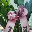 세무법인온세 이미지