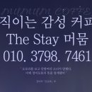 Stay,머뭄
