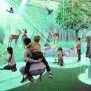 솔향공원 소나무전시관 이미지