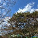 아라공원 | 함안 카페 아라깨비베이커리식물원카페 아기랑 주말 방문후기 아기의자 주차장 입국군립공원 인근위치